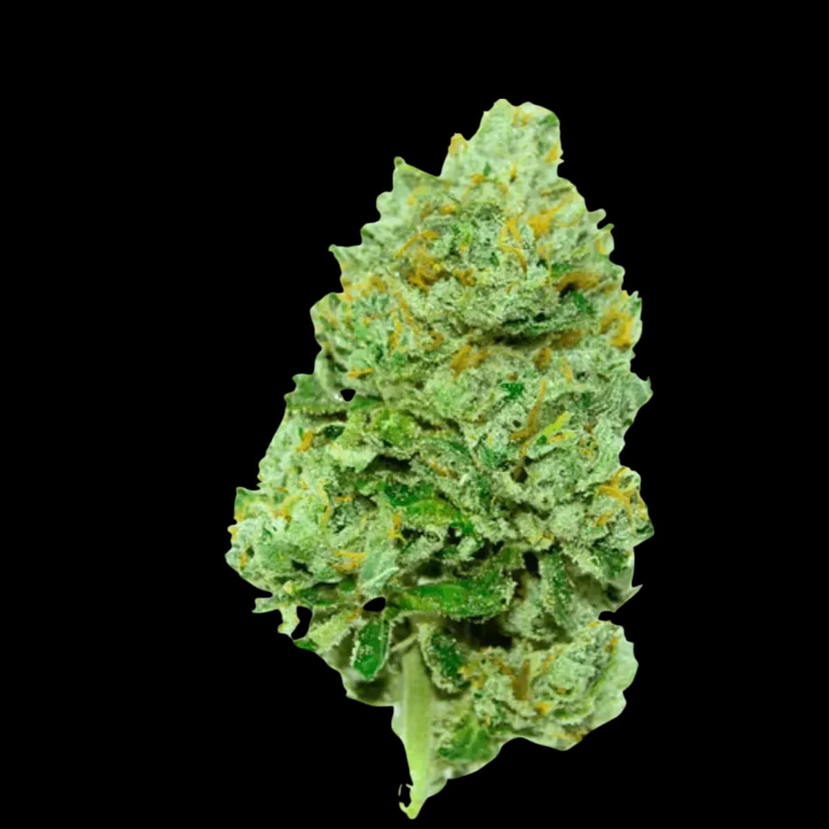 Peace Naturals 31/1 SL