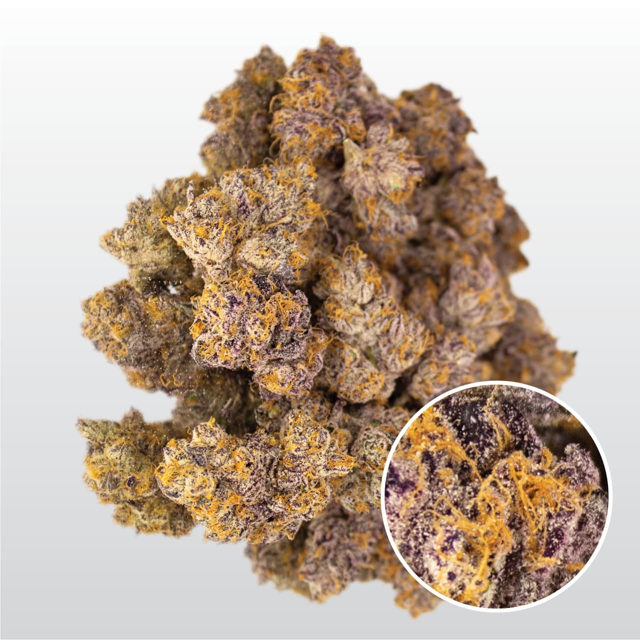 PHCANN Exotics 30/1 Black Amber