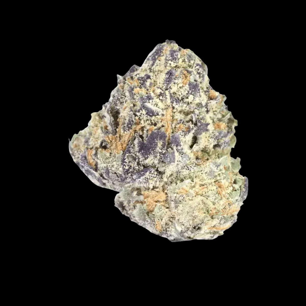 Remexian 27/1 PGF WRZ