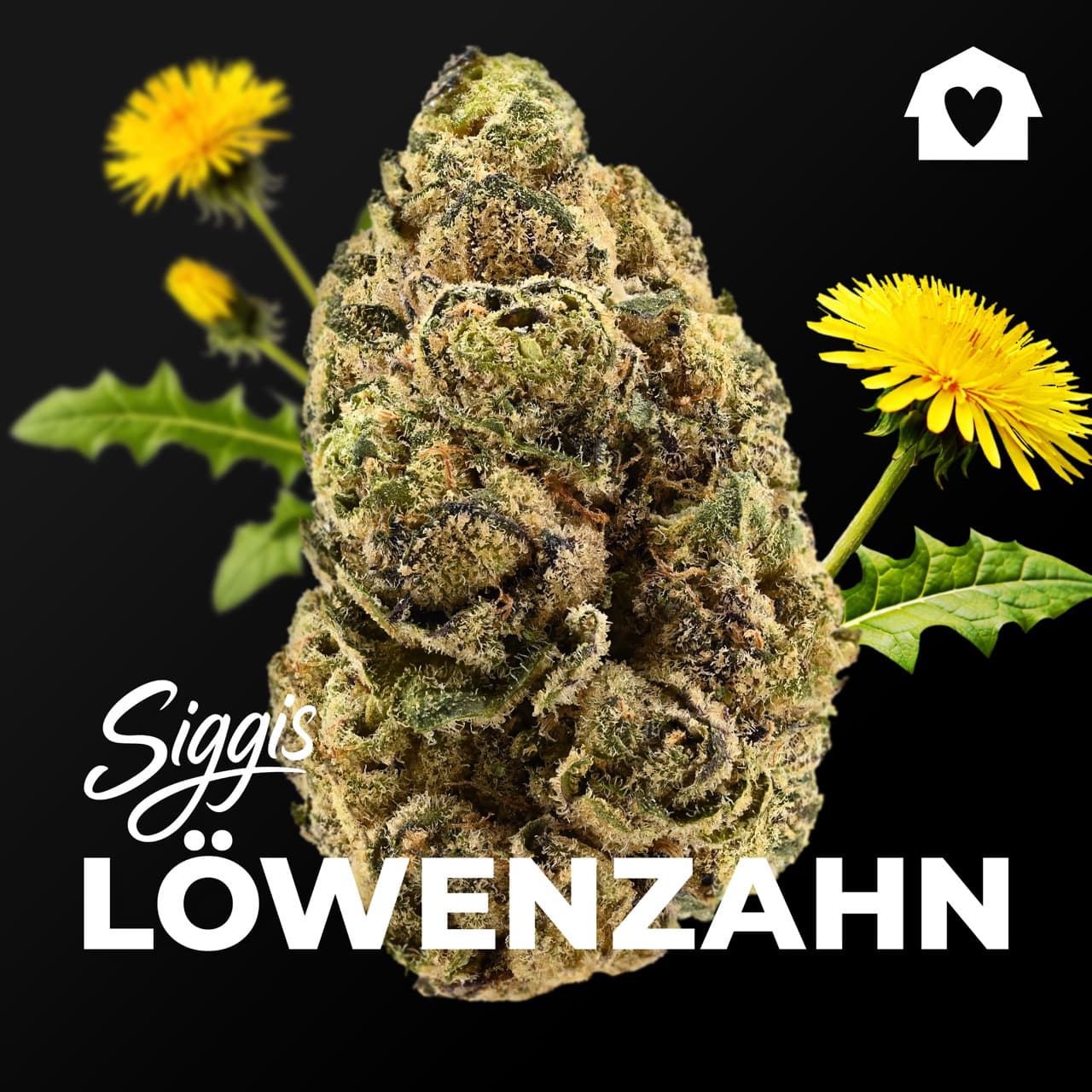 Med. Cannabis