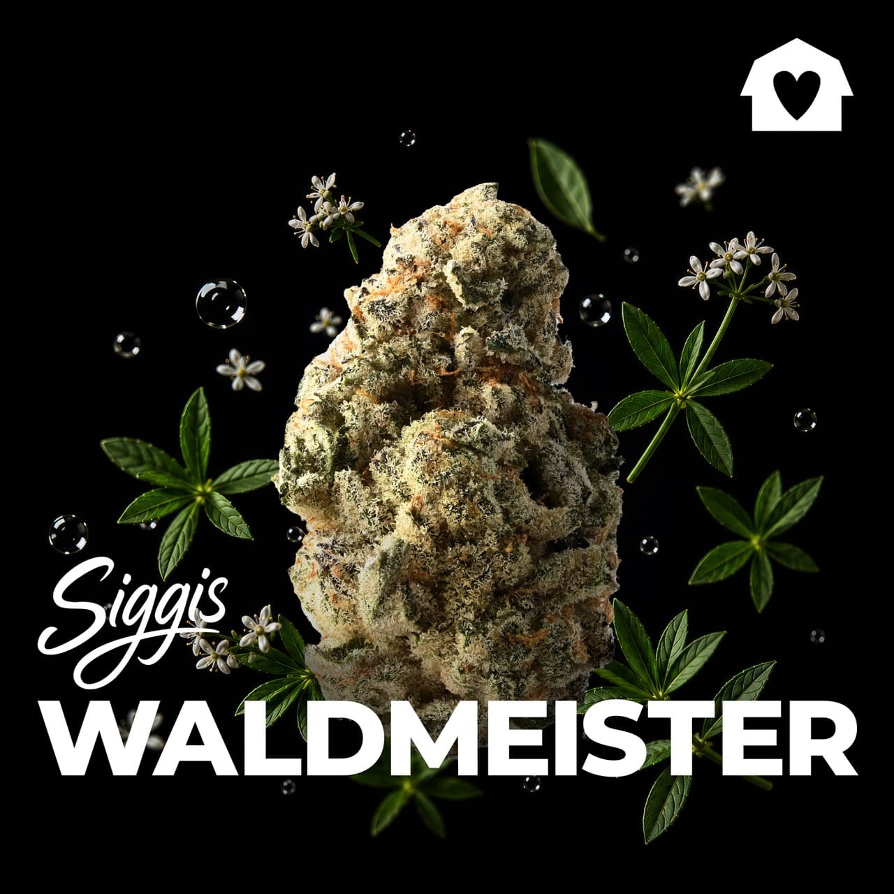 Med. Cannabis