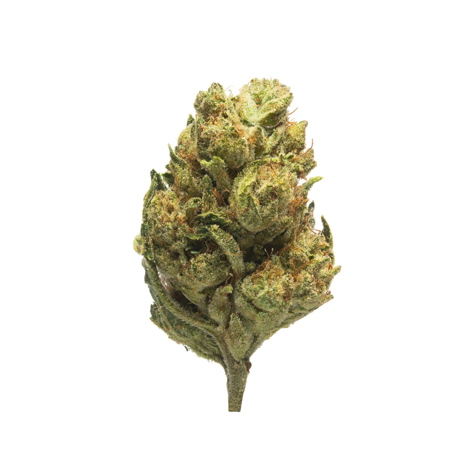 Med. Cannabis