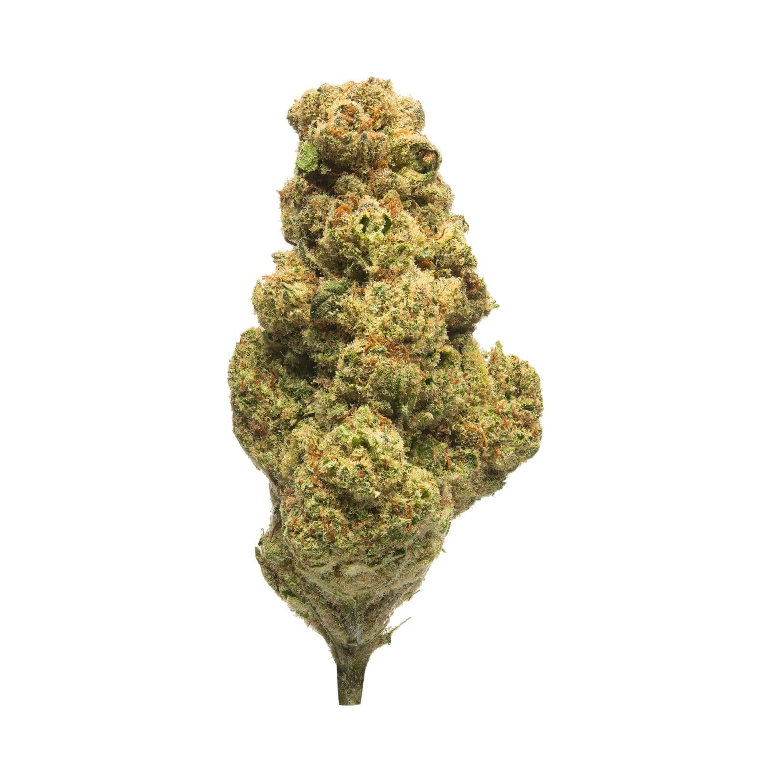 Med. Cannabis
