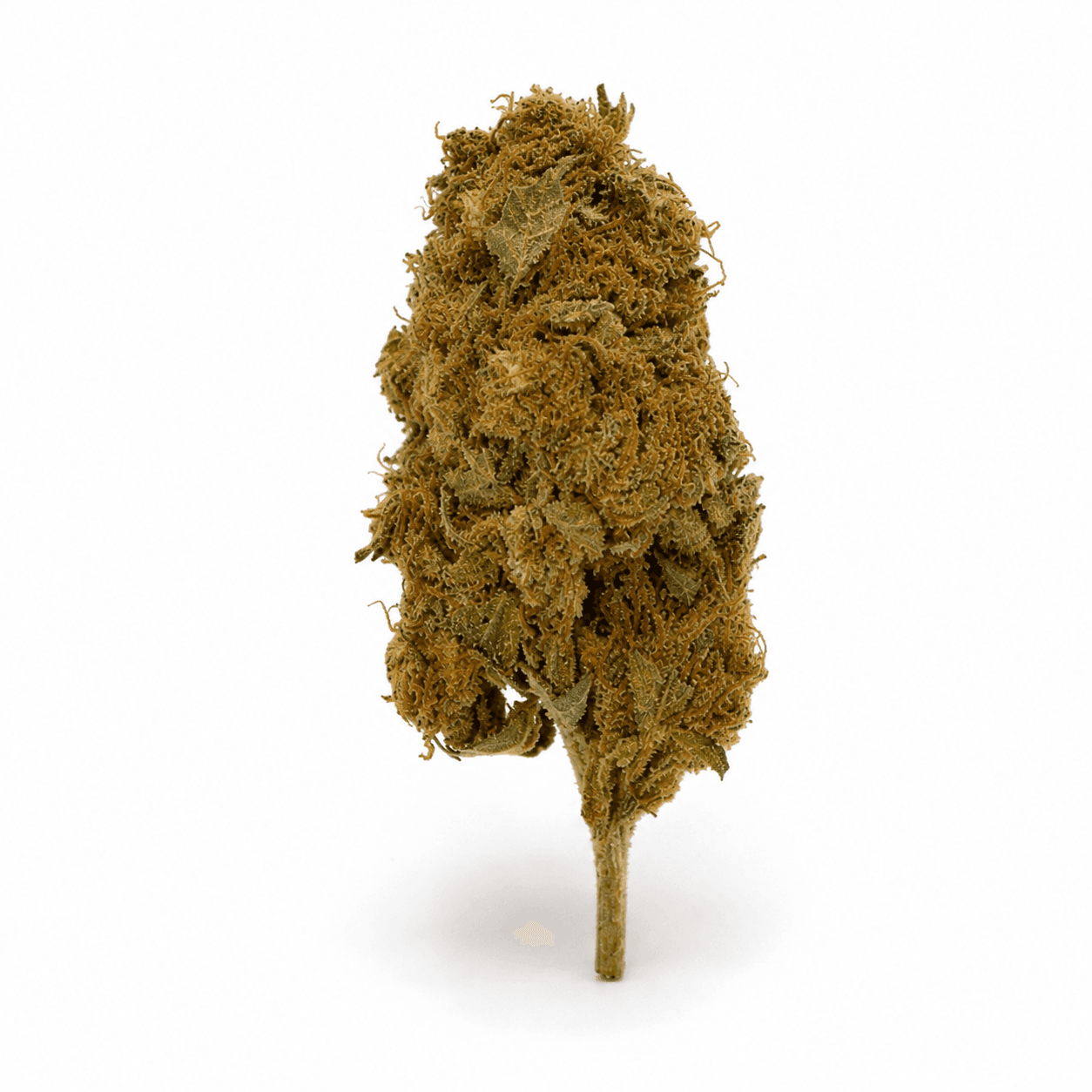 Med. Cannabis