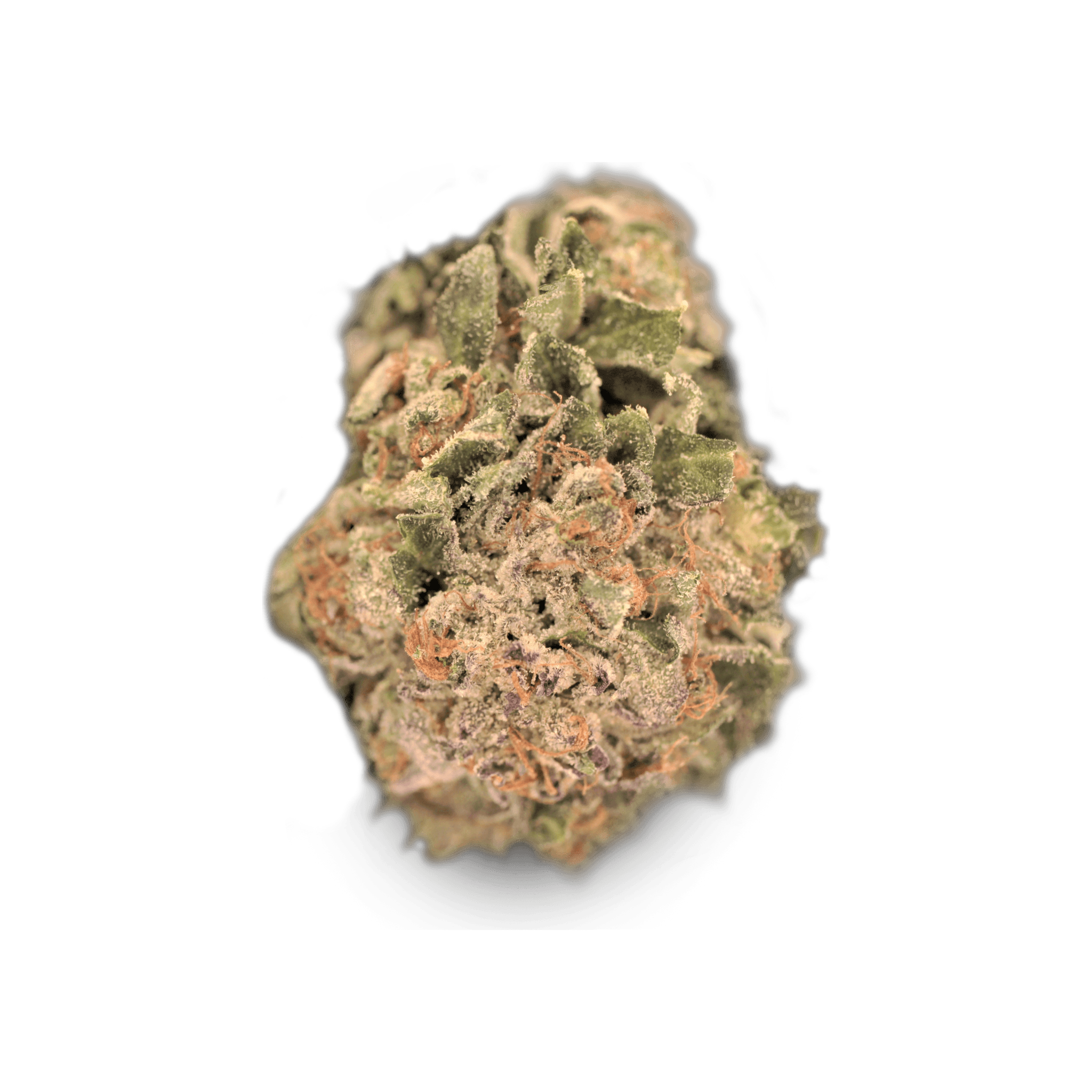 Med. Cannabis
