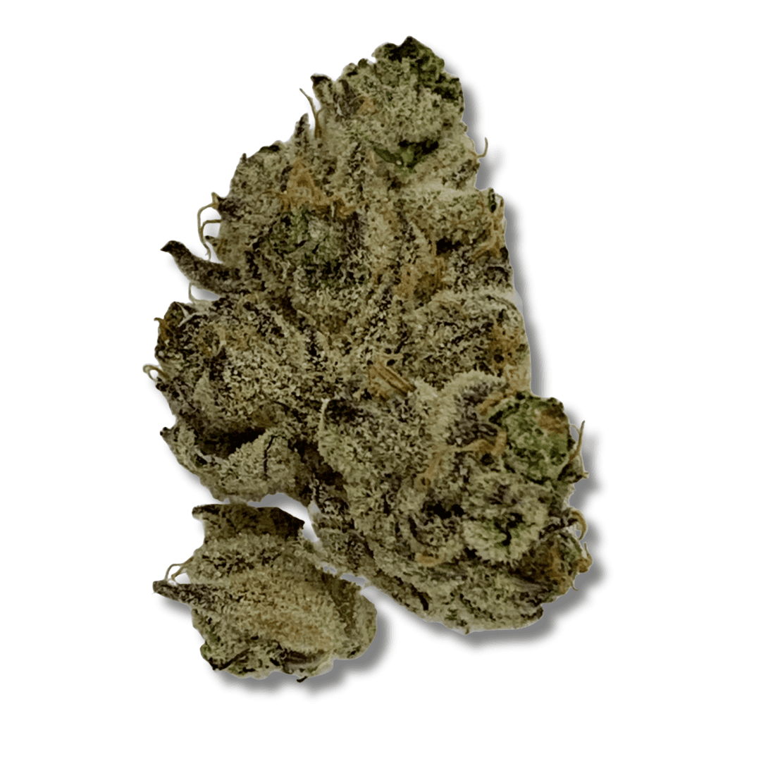 Tilray Craft Cannabisblüten THC28 PPV