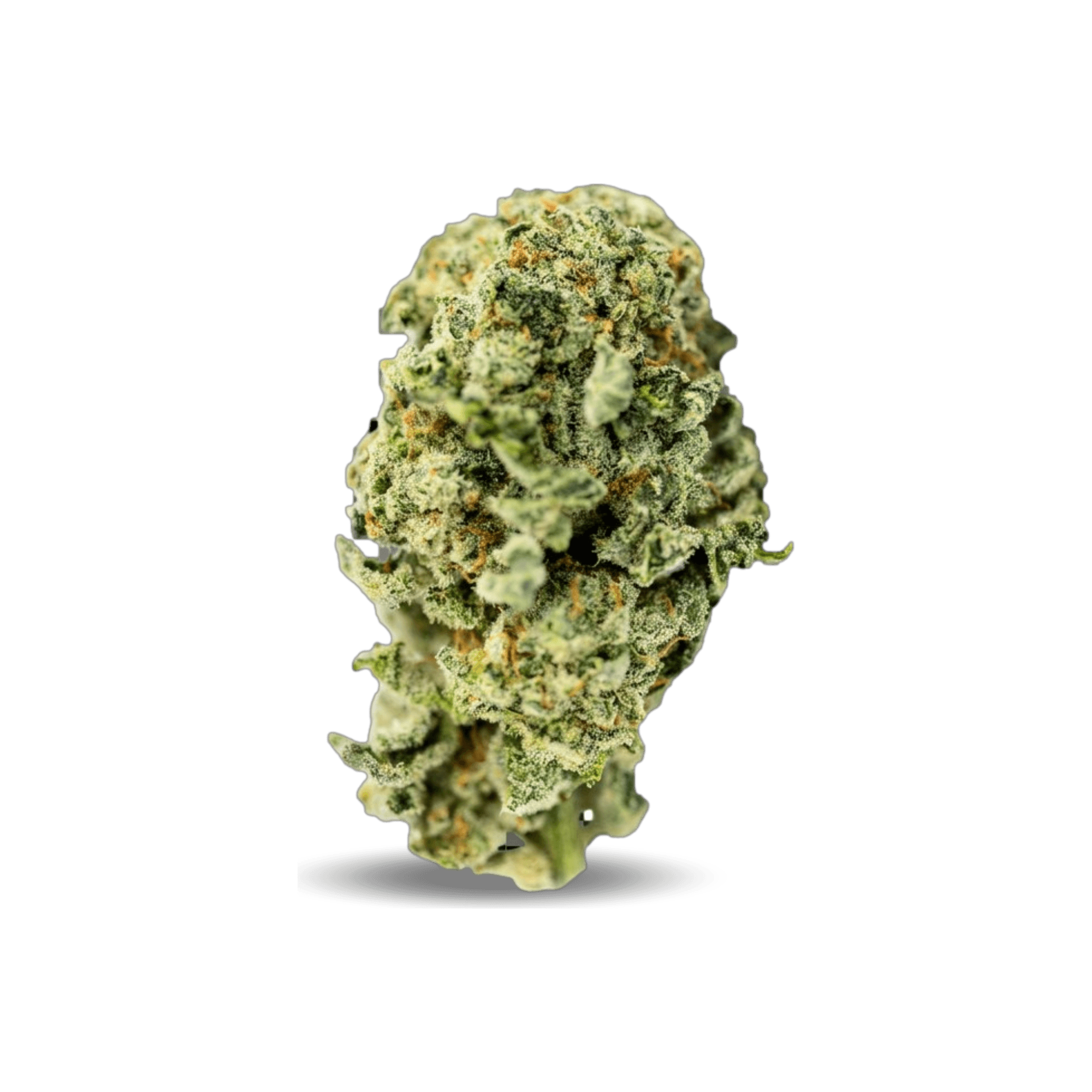 Med. Cannabis