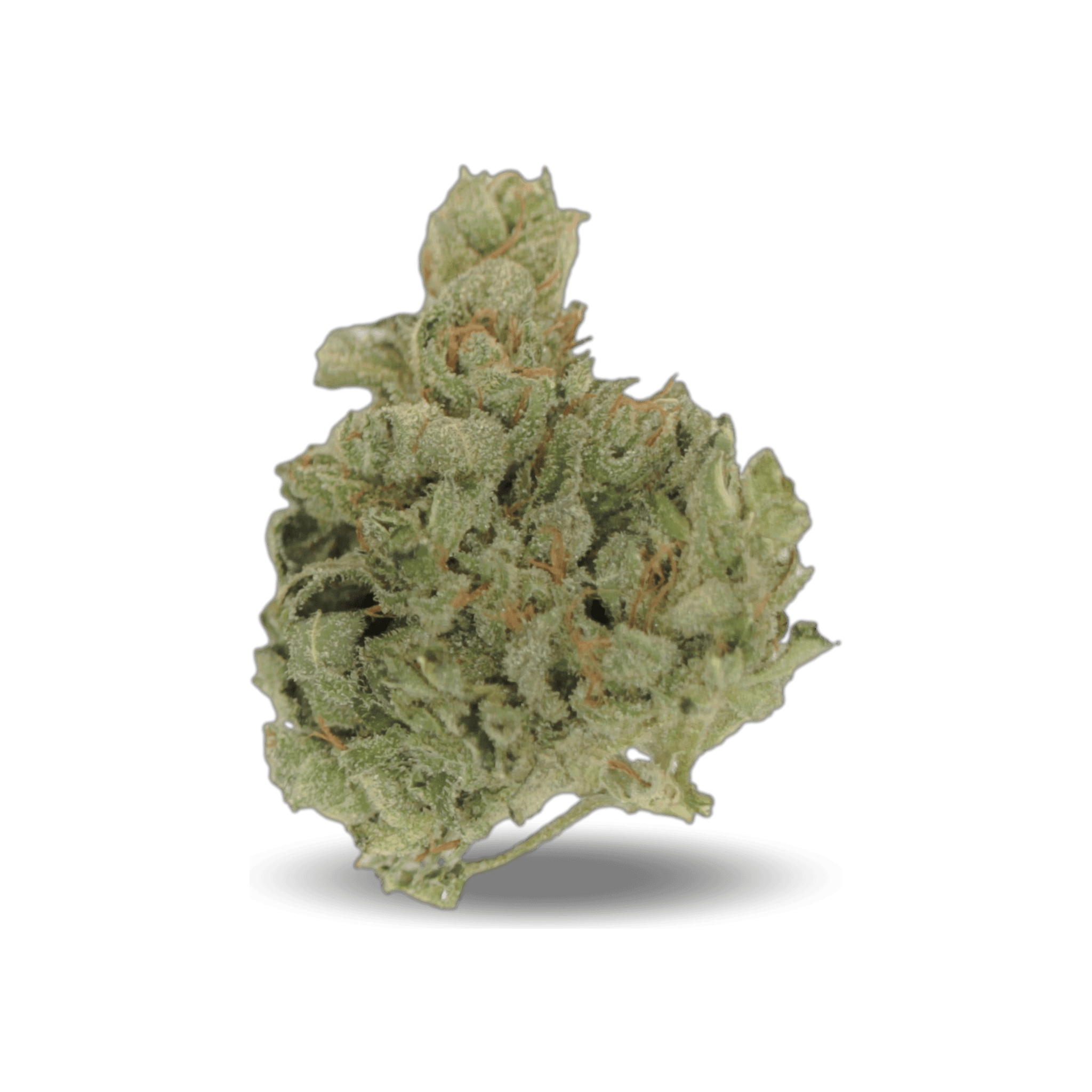 Med. Cannabis
