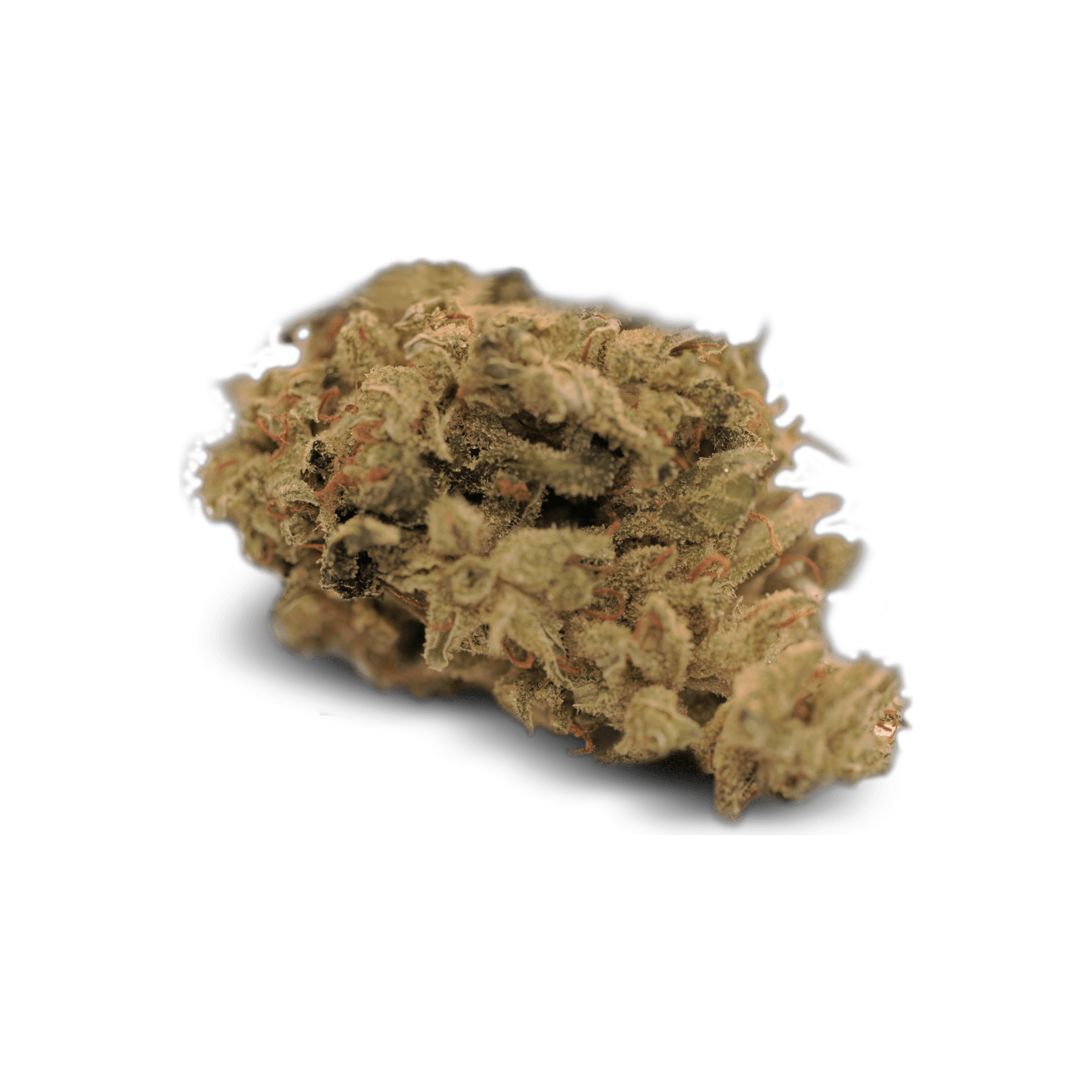 Tilray THC 25 Spotlight Porto ISS