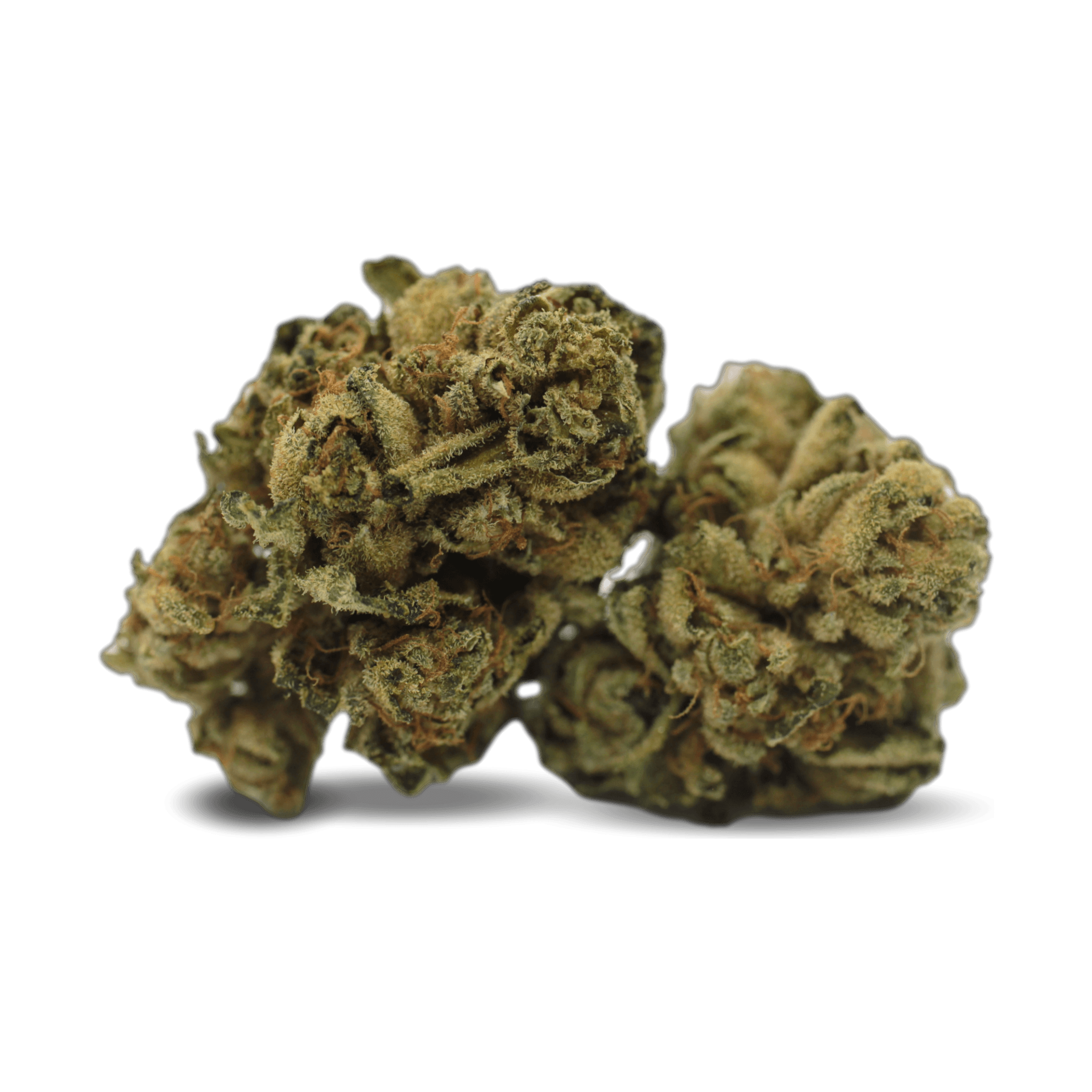 Tilray THC 25 Spotlight Porto Purps