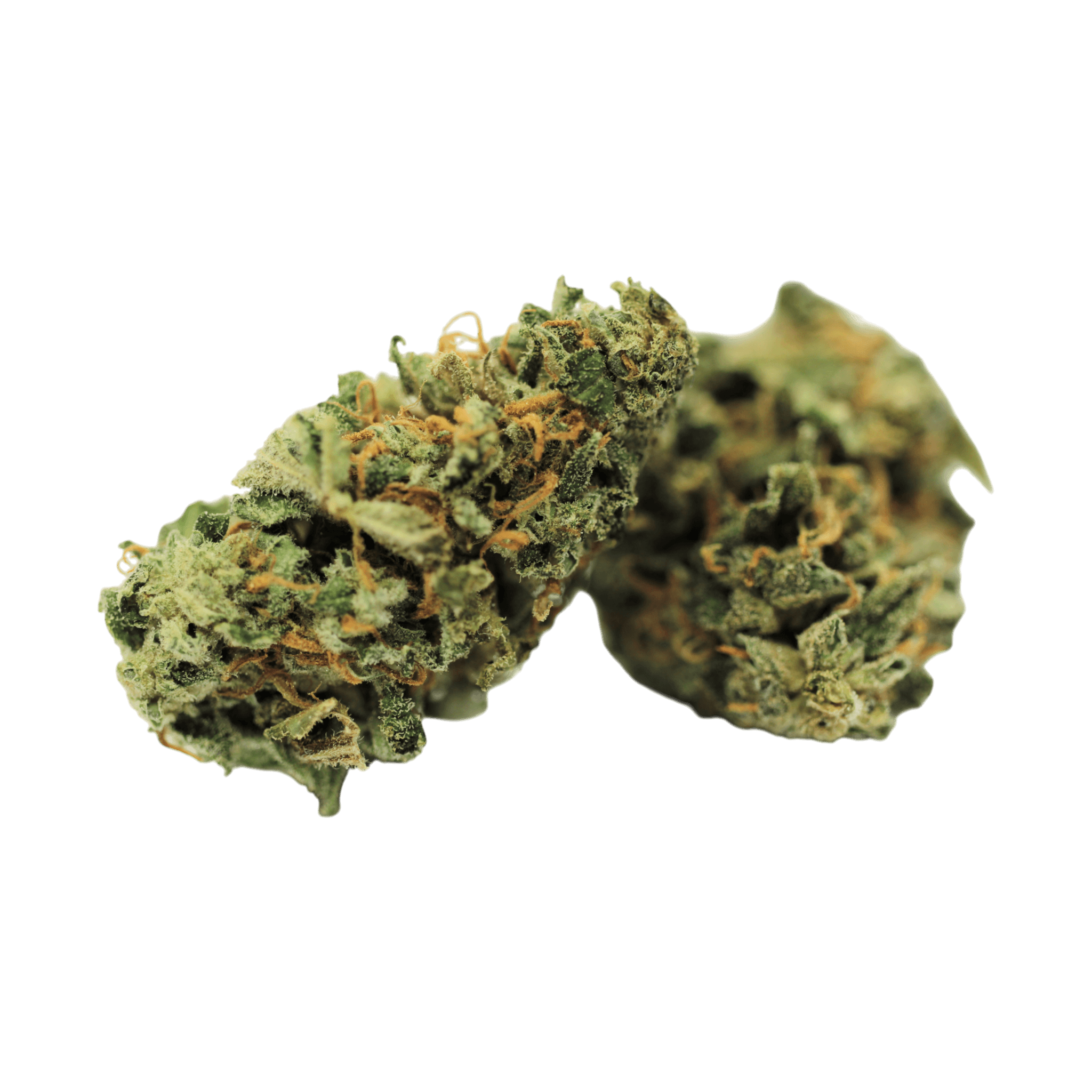 Tilray THC25 Craft JBG