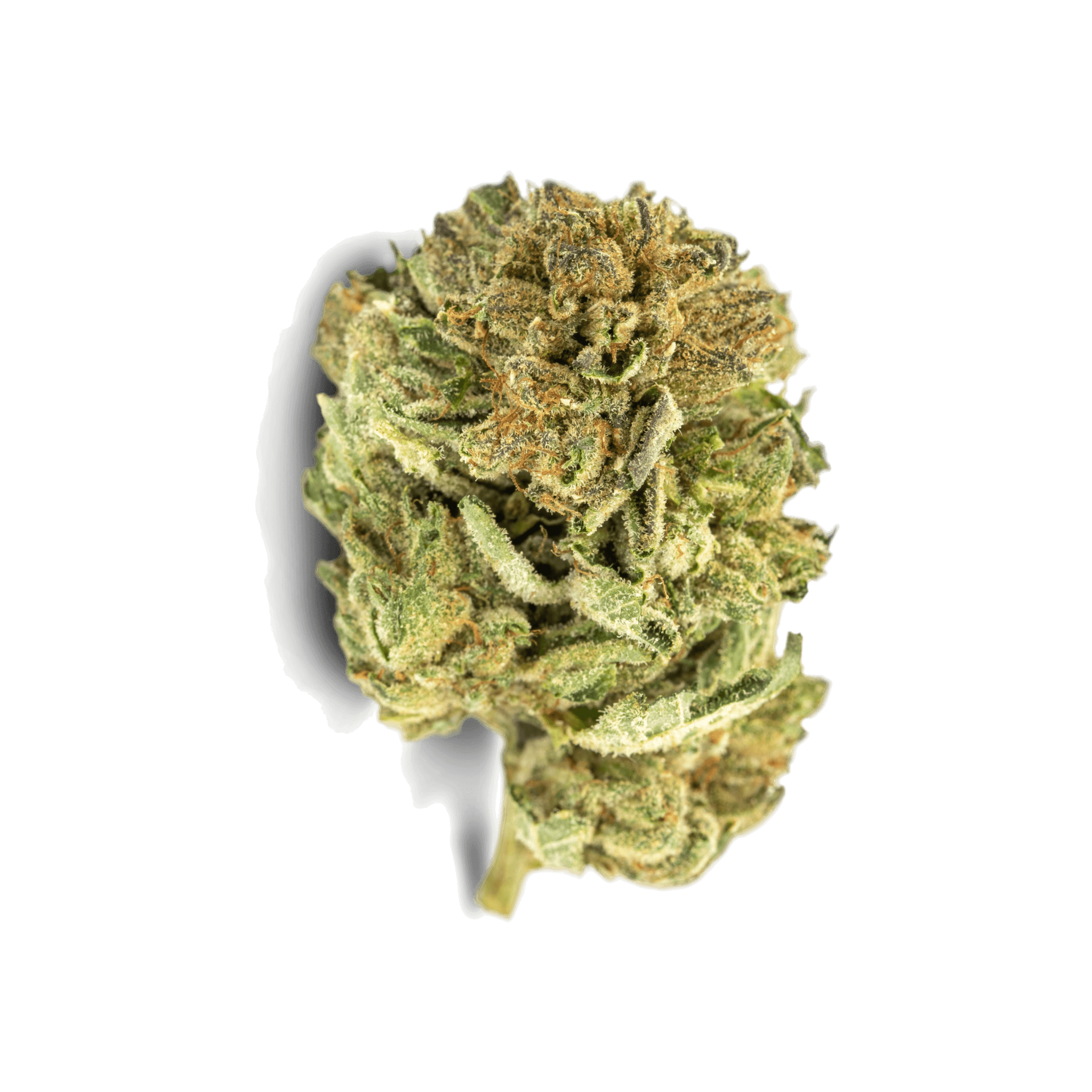 Med. Cannabis