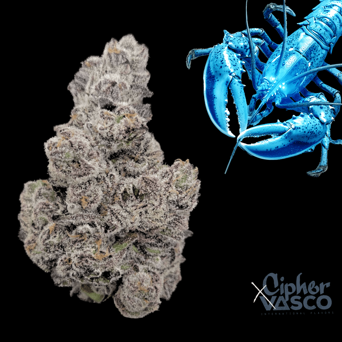 Med. Cannabis