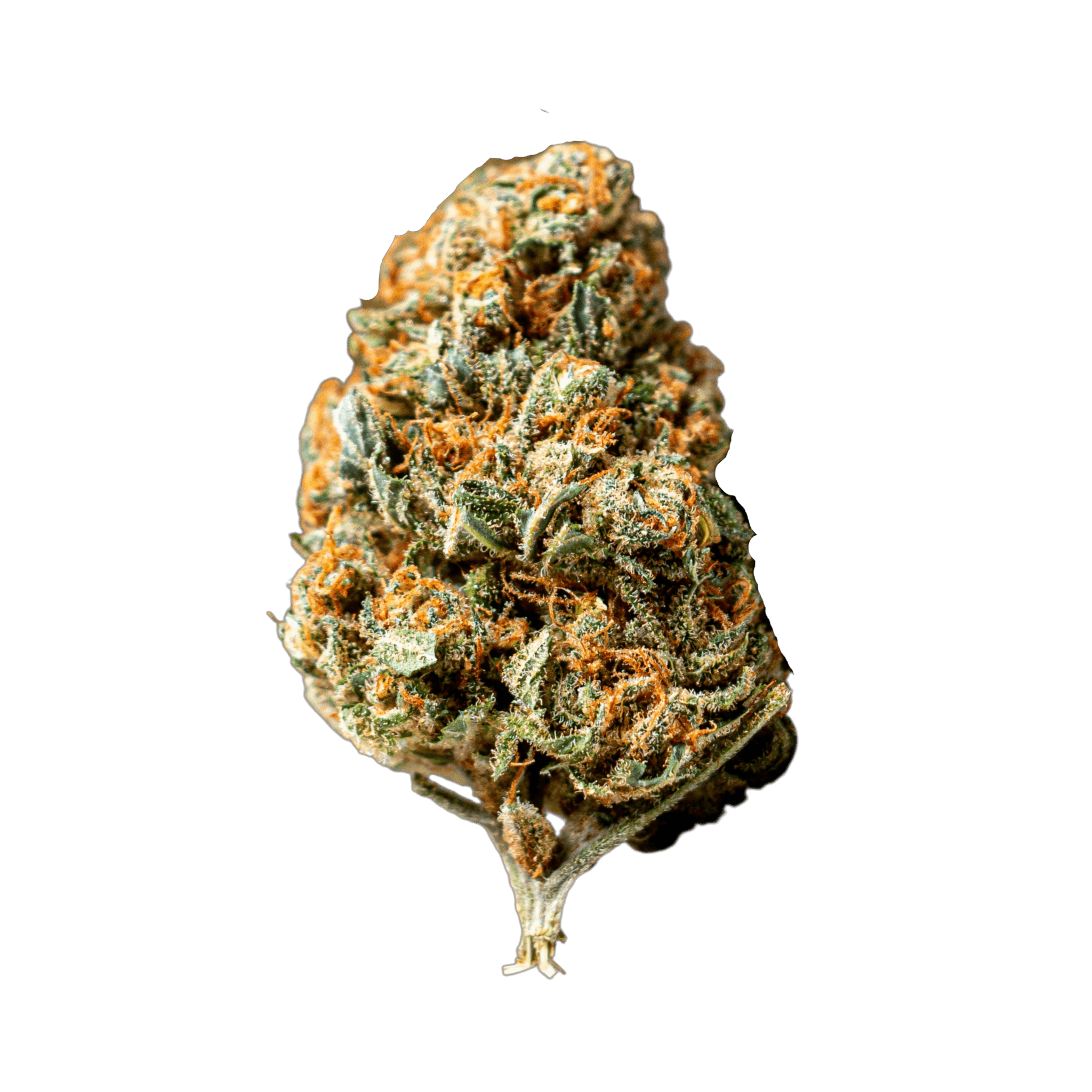 Med. Cannabis