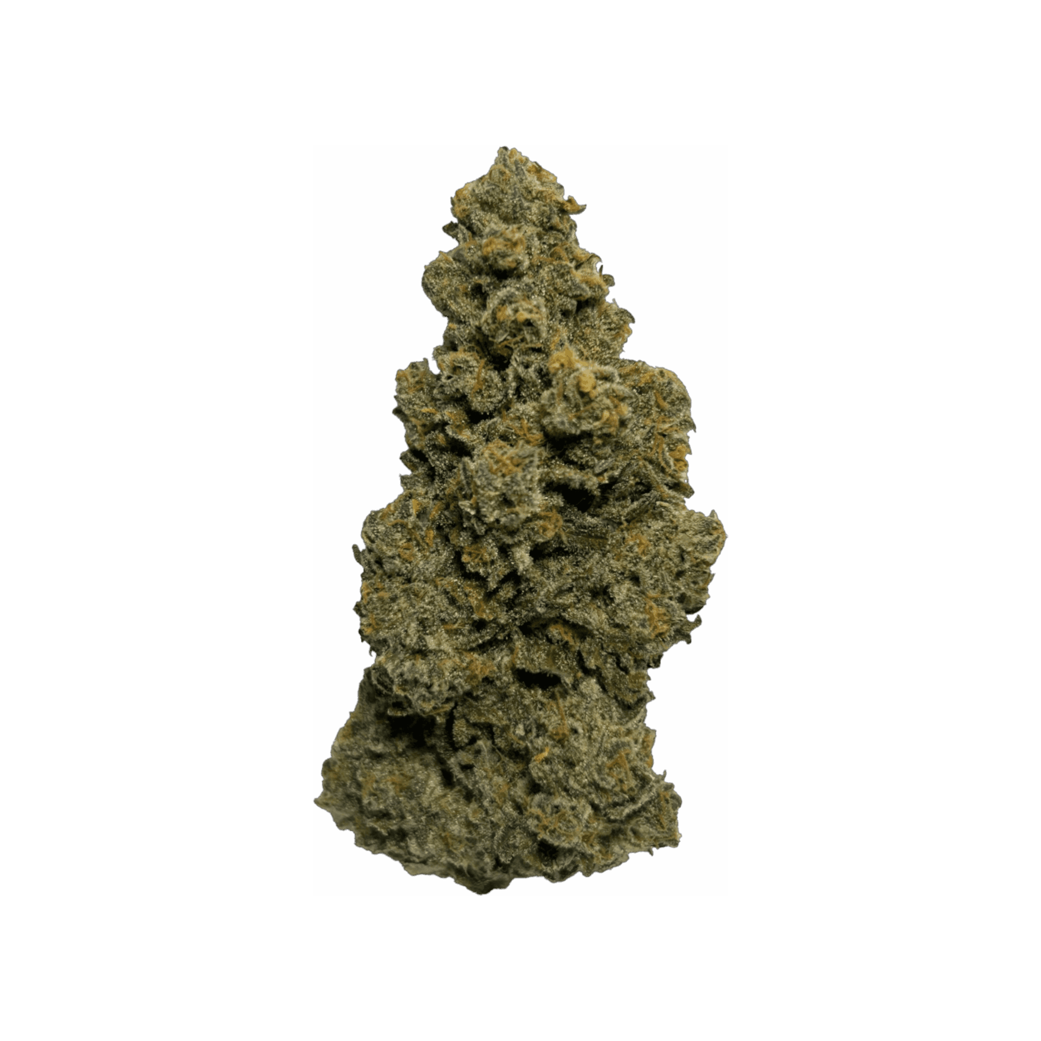 Wellford Aquaponic 26/1 BOC