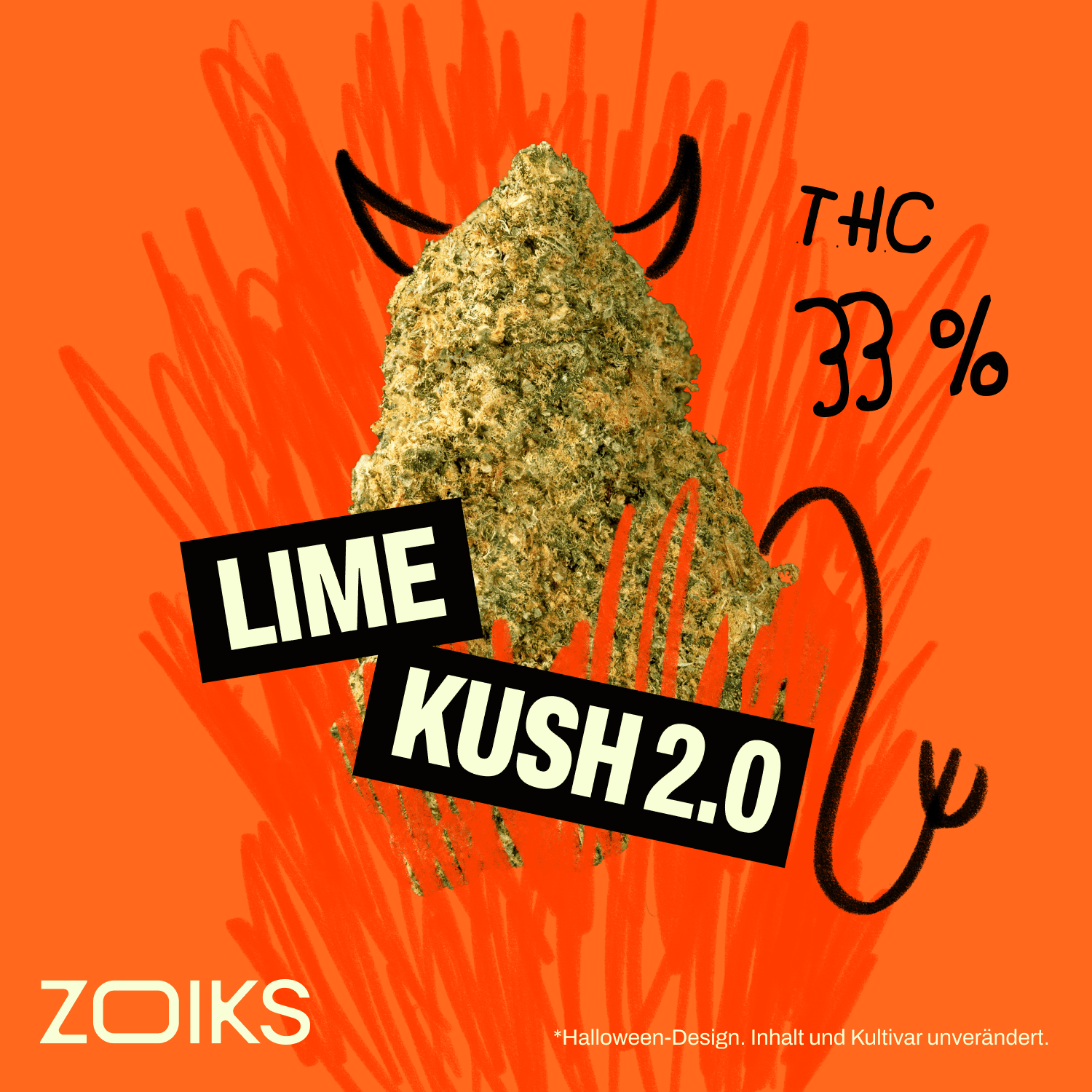 ZOIKS 33/1 LKV2