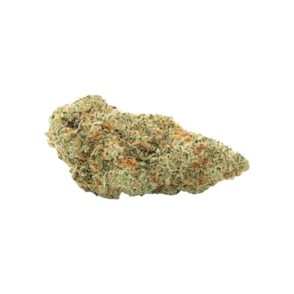 Cannabis der Sorte Black Cookies