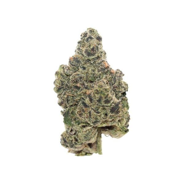 Cannabis der Sorte Detroit Runtz