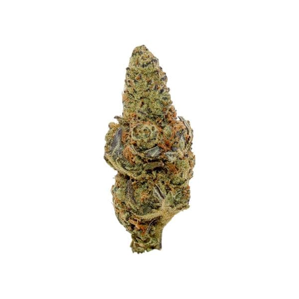 Cannabis der Sorte Garlic Chem