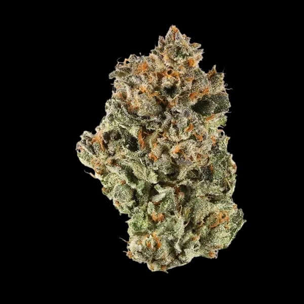 Cannabis der Sorte Purple Punch Mints