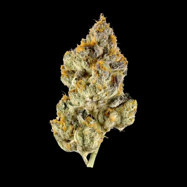 Cannabis der Sorte Rainbow Cake