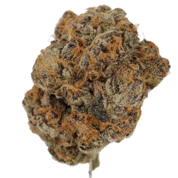 Cannabis der Sorte Platinum Grapes