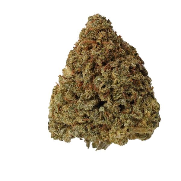 Cannabis der Sorte Creamy Kee's