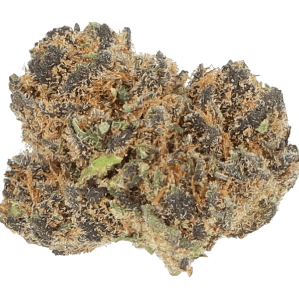 Cannabis der Sorte Eve